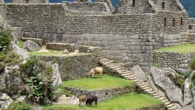 Photo of Jak rozbudowana była mowa starożytnych Inków? Poznaj Quechua!